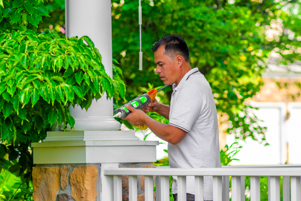 Interior painting project in Pikesville